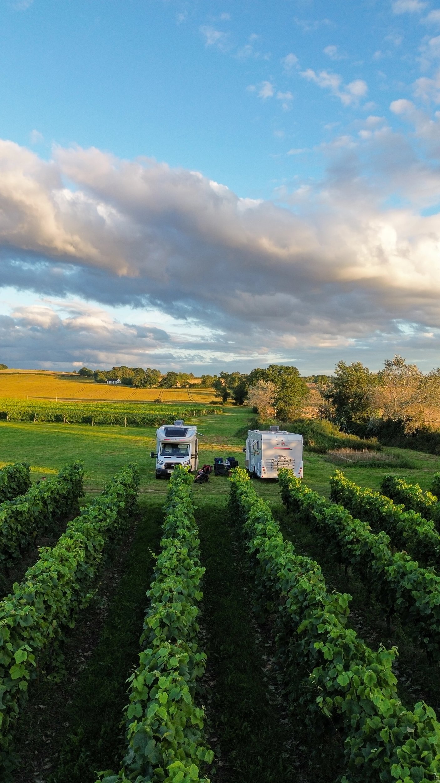 Motorhomes parked at a British farm host at golden hour