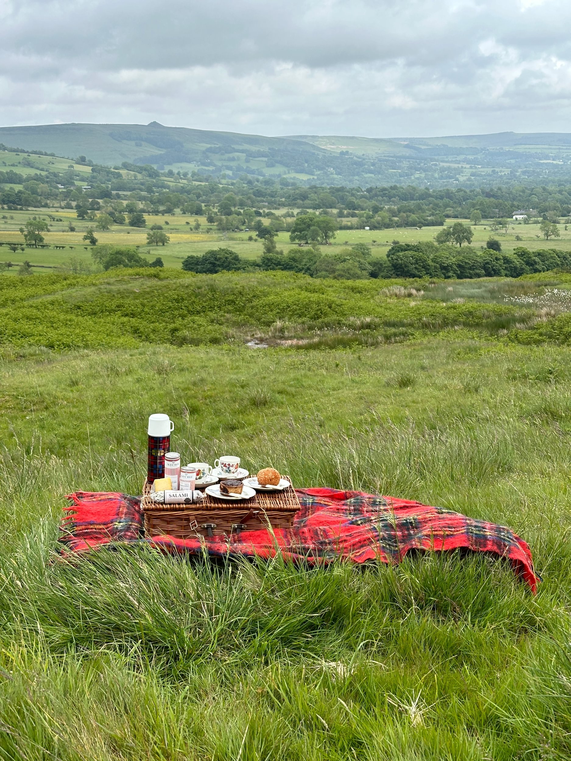 Picnic with tea in a field